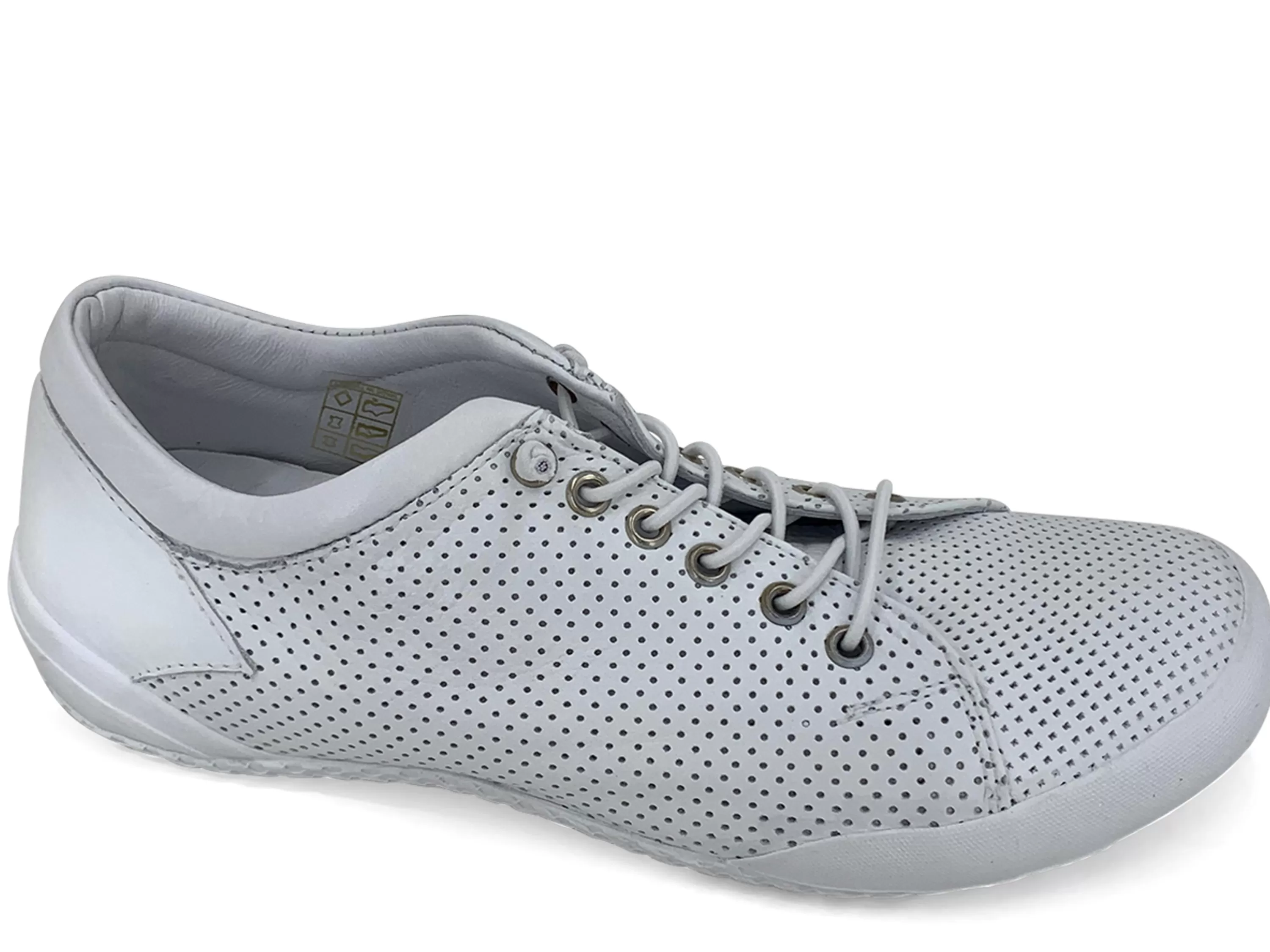 Teejay Sneaker>GELATO Online