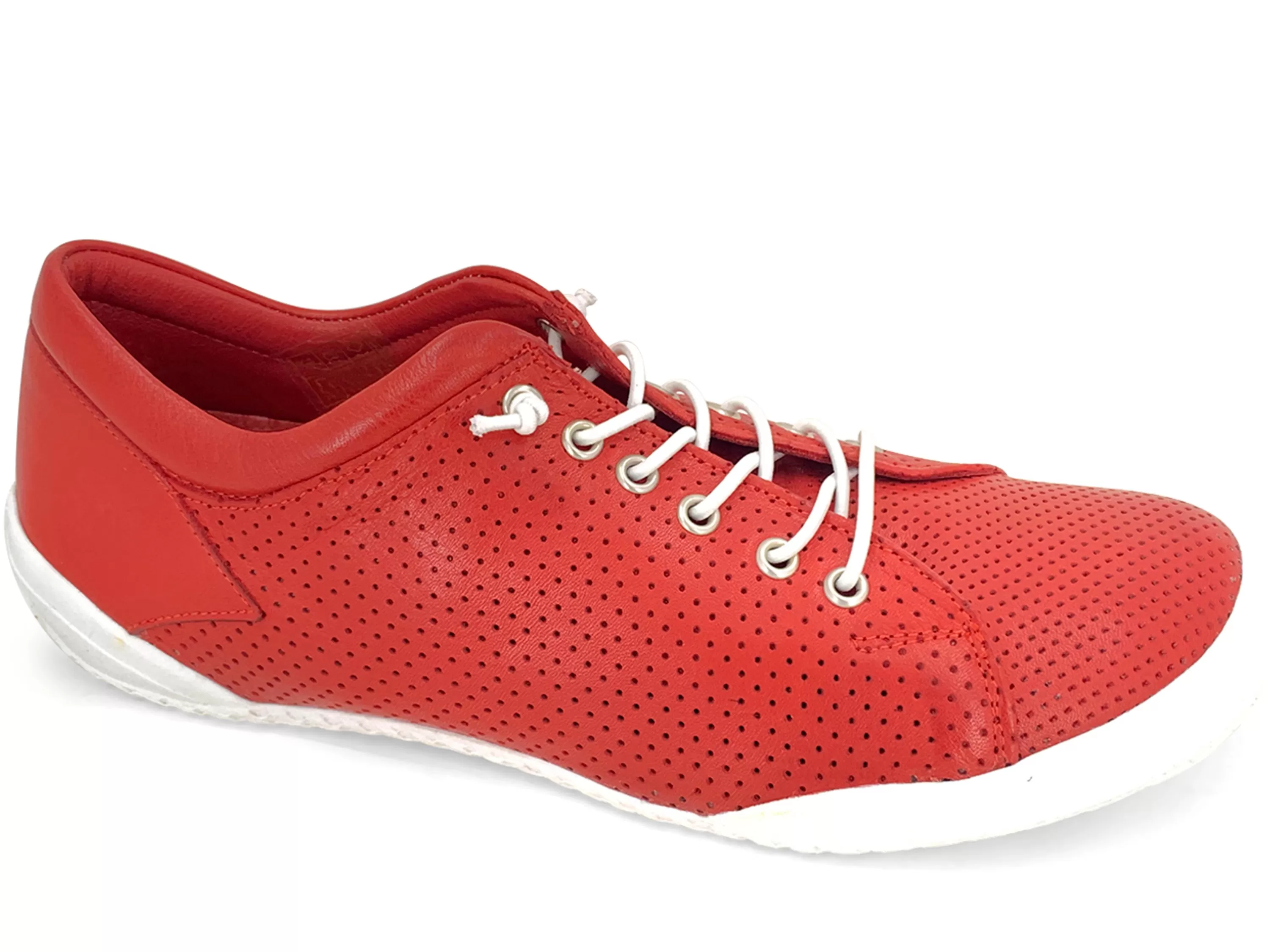 Teejay Sneaker>GELATO Store