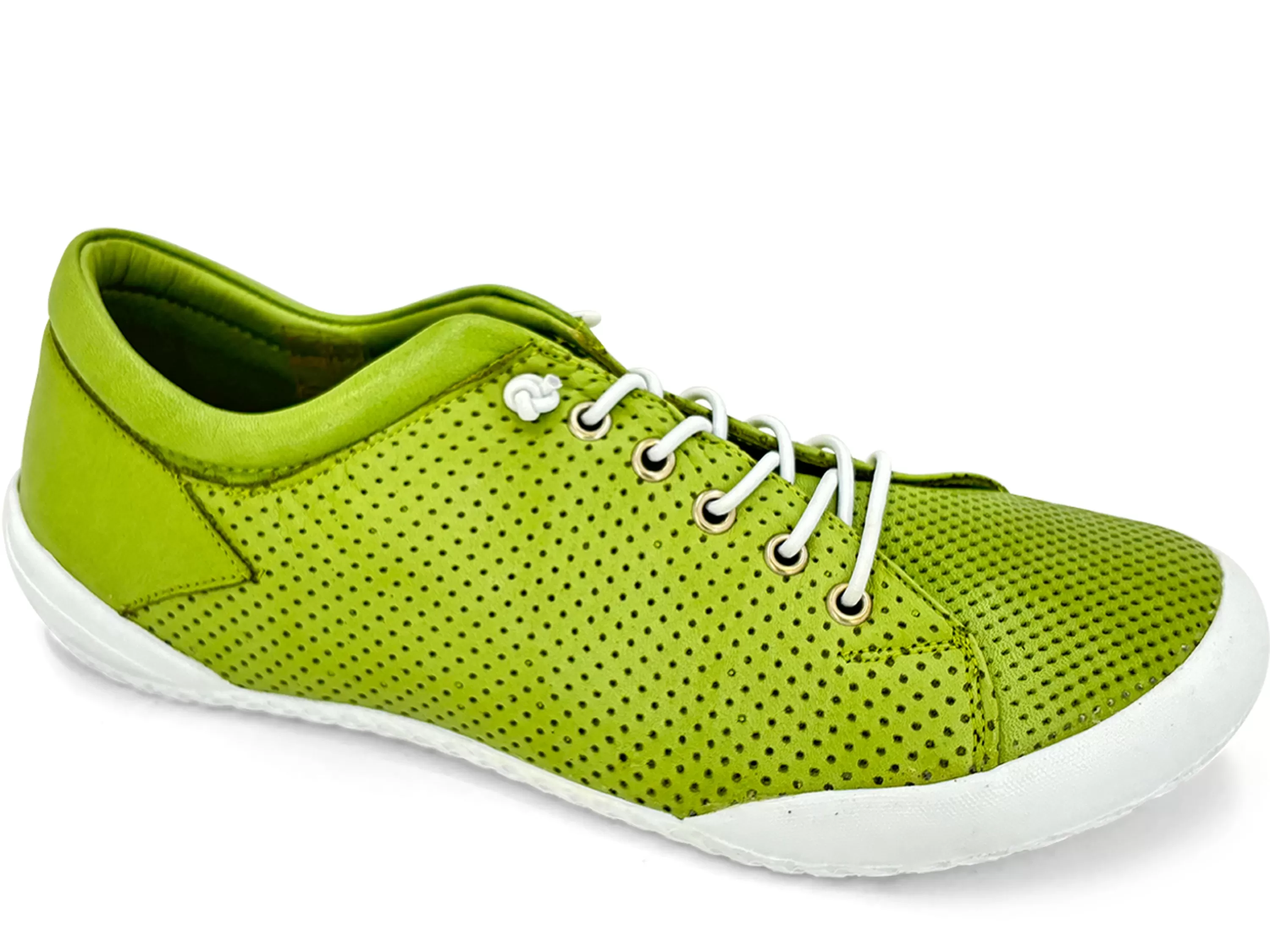 Teejay Sneaker>GELATO Shop
