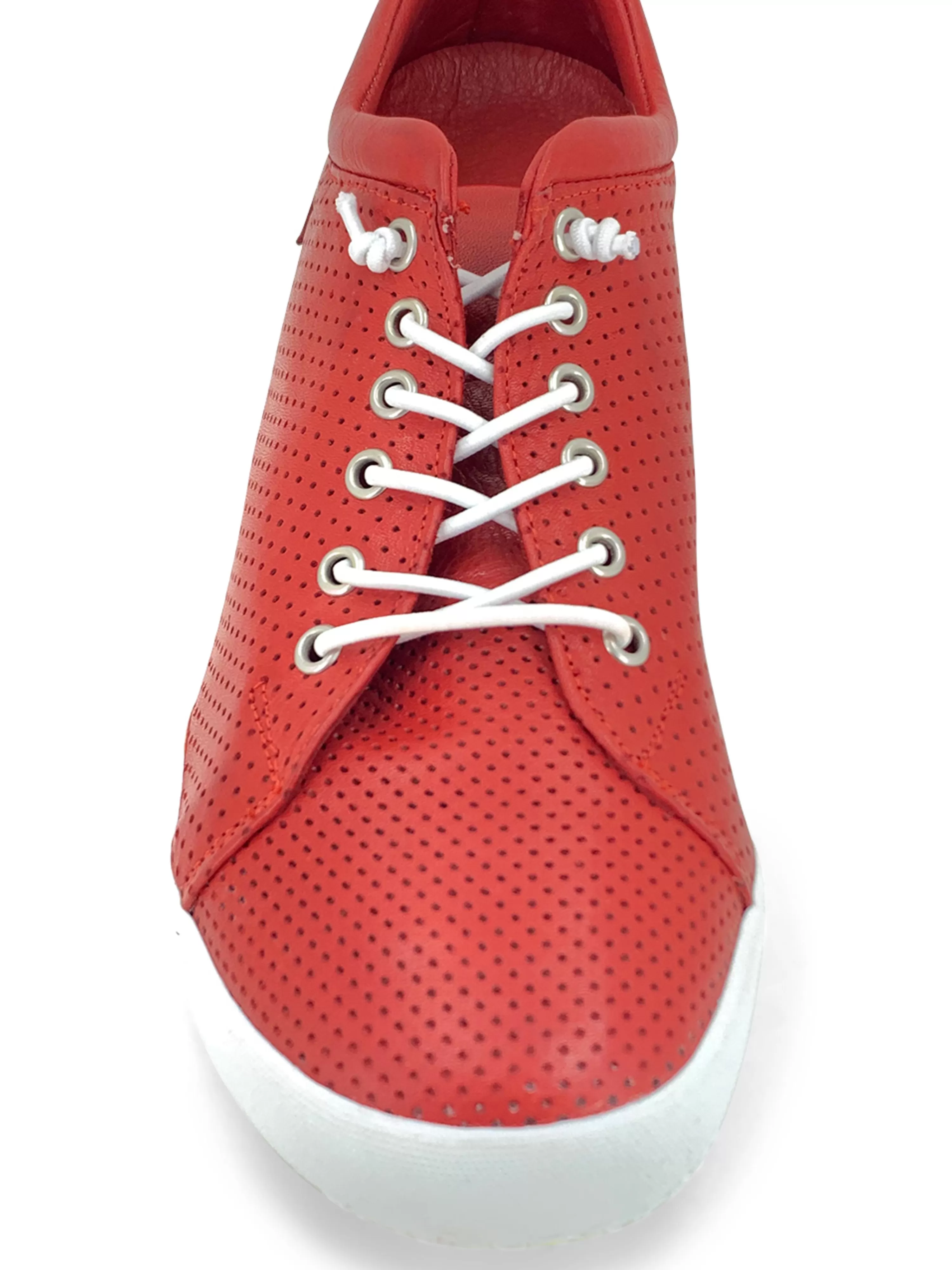Teejay Sneaker>GELATO Store